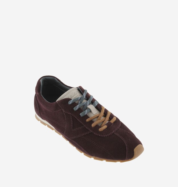 ASTER SUEDE