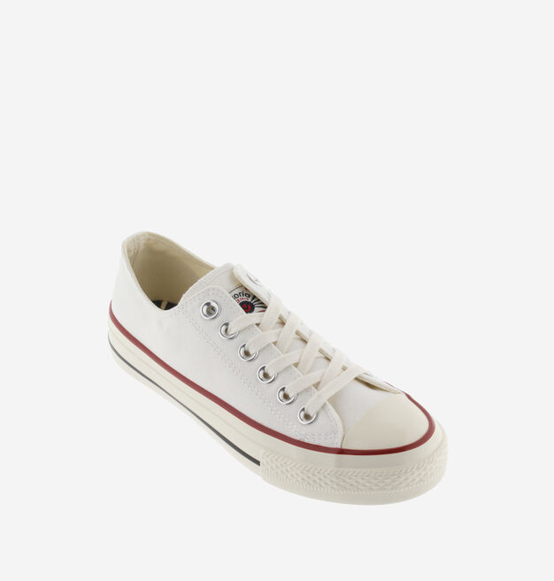 TRIBU SHINY CANVAS