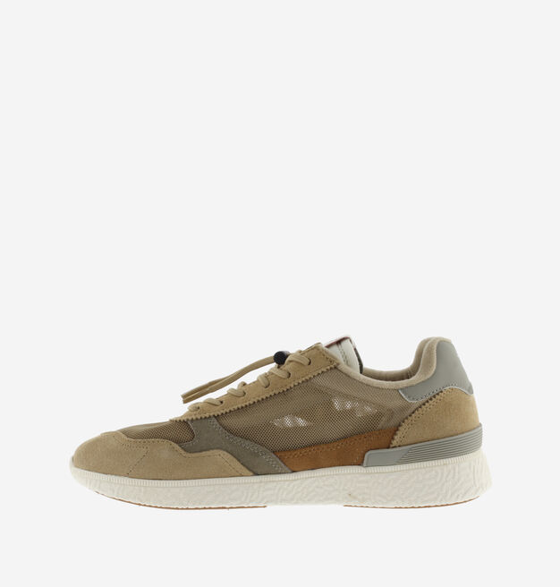 ANIMA - LIGHT MESH