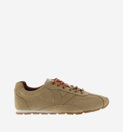 ASTER SUEDE