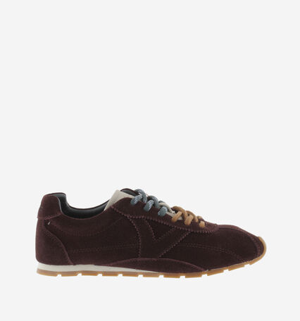 ASTER SUEDE